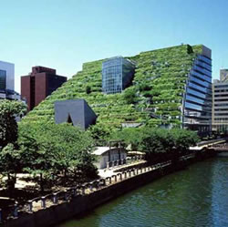 Greening of the City